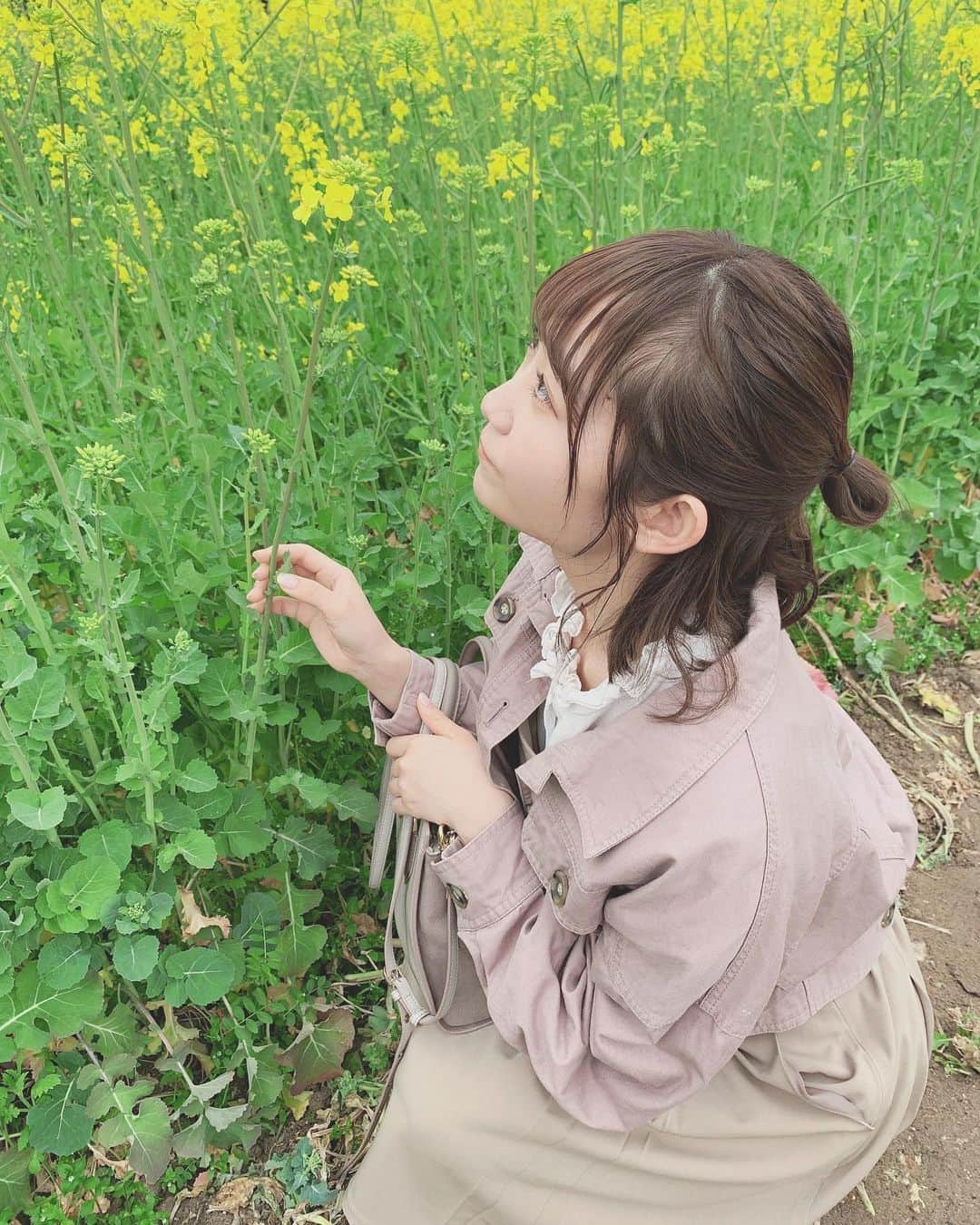 夏川愛実さんのインスタグラム写真 - (夏川愛実Instagram)「﻿  #思い出pic ﻿ いつの写真だろ？🤨﻿ 菜の花🌼﻿ ﻿ ﻿ #菜の花#思い出グラム#お団子#ハーフアップ﻿ #おうちじかん#写真のネタ切れ#思い出写真﻿ #春コーデ#低身長コーデ﻿#公園#ボブアレンジ ﻿」5月6日 23時10分 - ami_natsukawa