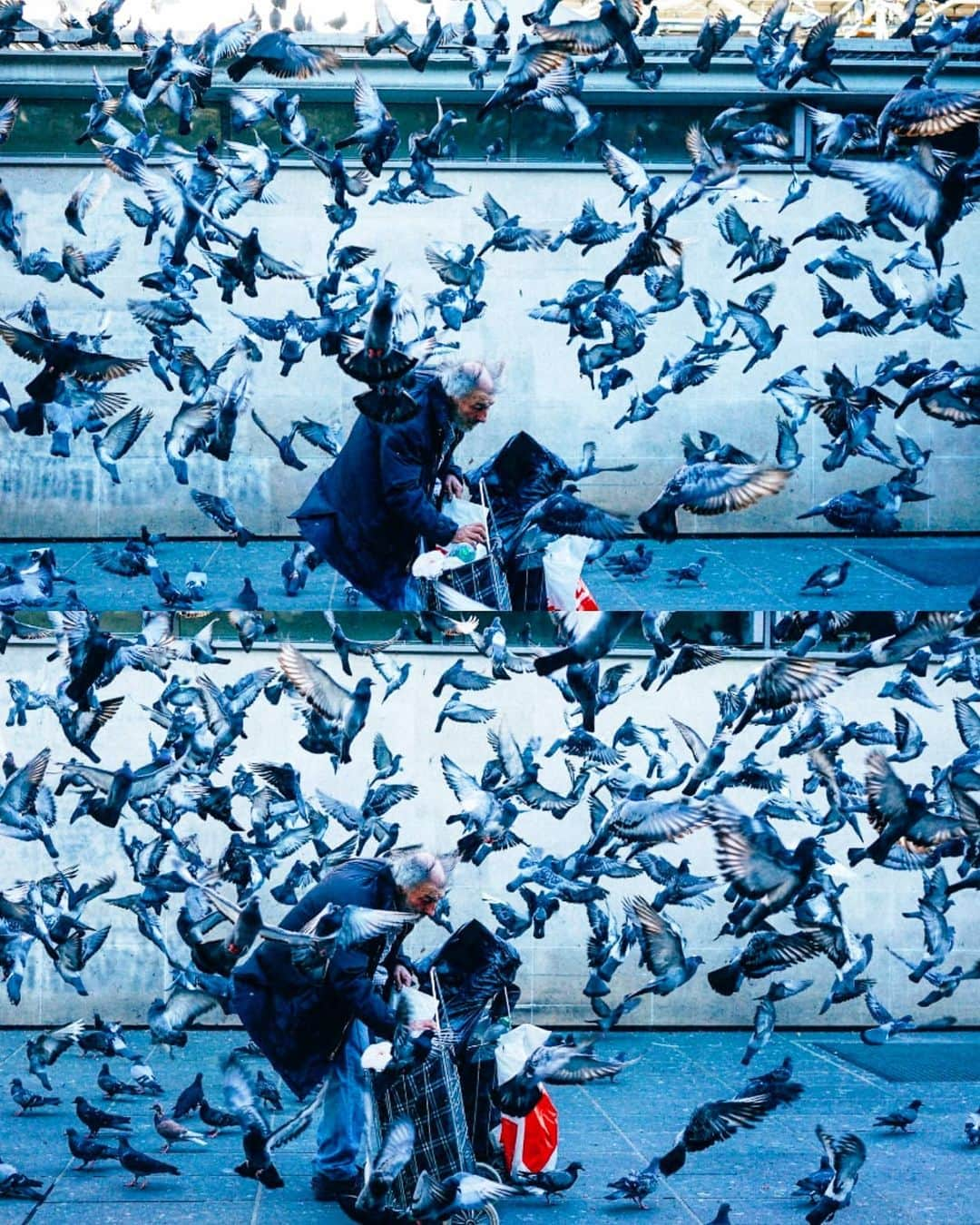 VuTheara Khamさんのインスタグラム写真 - (VuTheara KhamInstagram)「Paris and Birds 🕊️ It's a series of pictures about birds taken in Paris these last years. Which one do you prefer? 1,2,3... 10」5月6日 23時28分 - vutheara