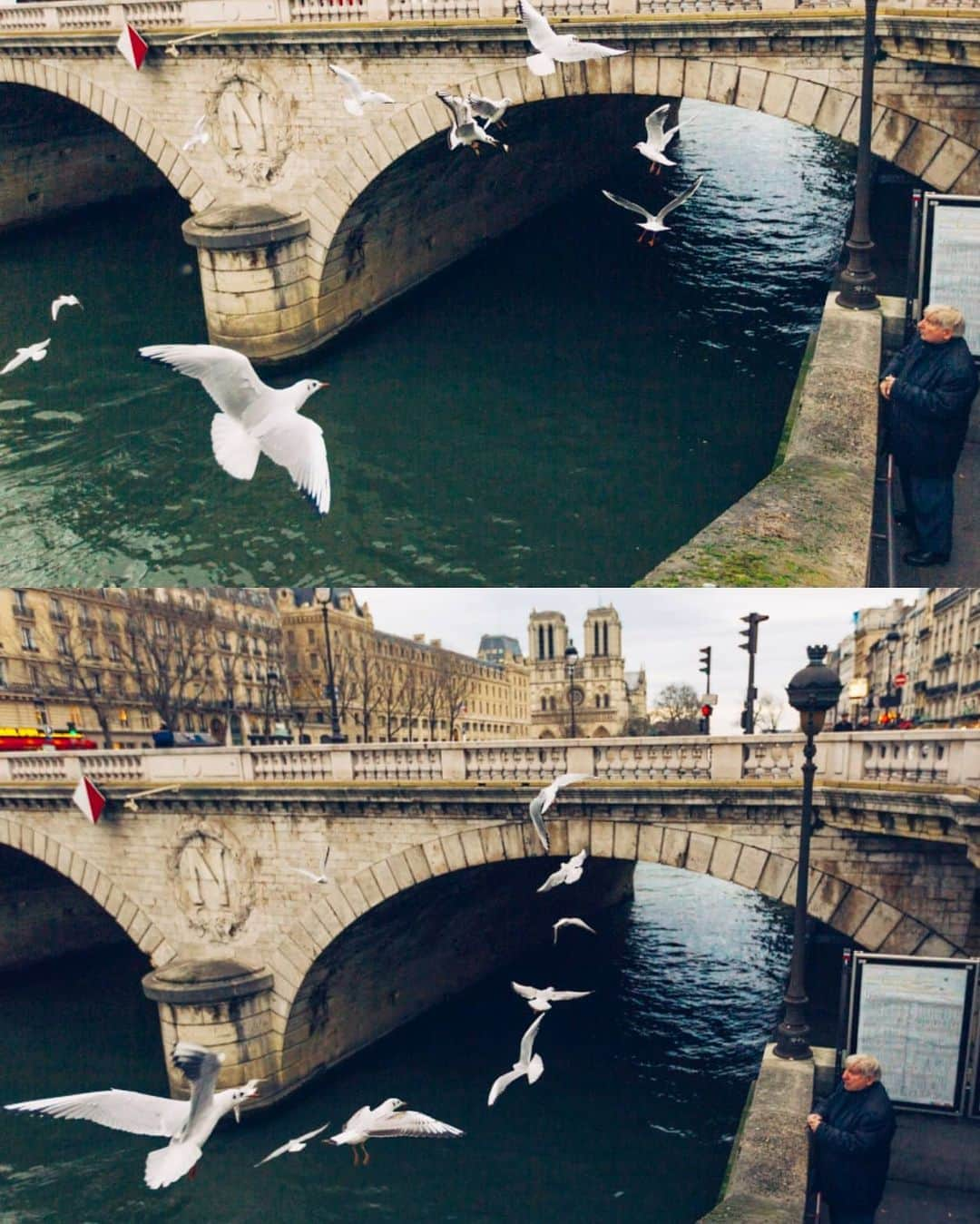 VuTheara Khamさんのインスタグラム写真 - (VuTheara KhamInstagram)「Paris and Birds 🕊️ It's a series of pictures about birds taken in Paris these last years. Which one do you prefer? 1,2,3... 10」5月6日 23時28分 - vutheara