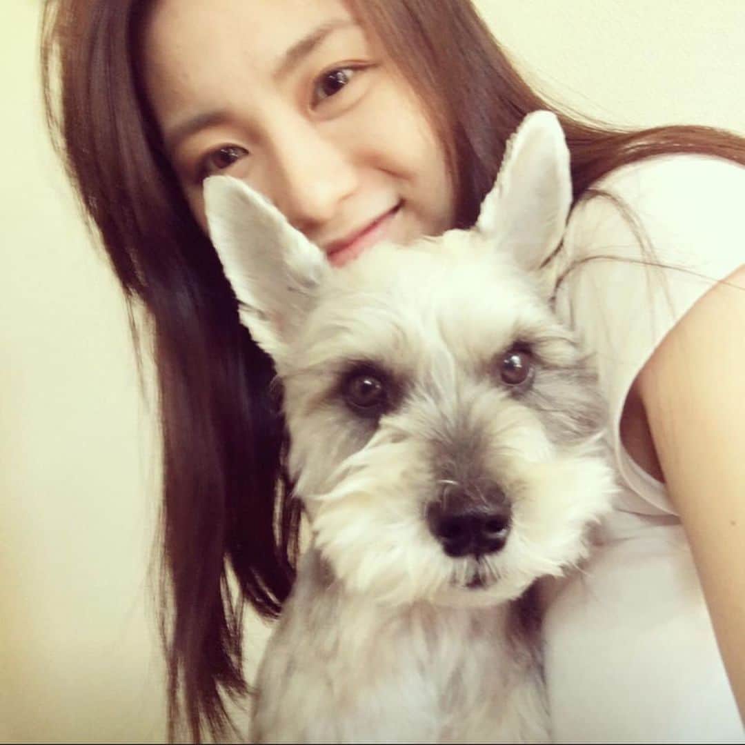 今村沙緒里のインスタグラム：「LOVE Animals💜 動物の虐待に反対するリレー。 ・ 監督で小説家、犬仲間でもある 山田あかねさんからバトンが。 "犬に名前をつける日"という映画も一緒に作りました。 写真は3年前の今日(SNSが教えてくれた🐶) 会えてないからさみしい。 2枚目が1番最近のハルオ。変な写真しかなかった。 鼻ガオ❤︎ 会いたいな。 少しでも動物虐待反対につながれば🐕🐕 #love #animals #dog #family #개 #보고싶어요 #ハルオ #会いたい #犬 #かわいい #動物虐待反対」