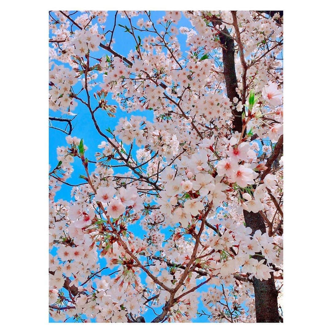 村山絢香さんのインスタグラム写真 - (村山絢香Instagram)5月7日 0時23分 - ayaka_murayama