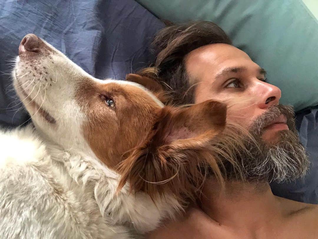 Thomas Peschakのインスタグラム：「When I am away on assignment for @NatGeo one of our dogs usually takes over my side of the bed. It looks like Blue has NOT gotten the memo that I will be home for the foreseeable future!!!」