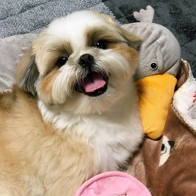 りんくのインスタグラム