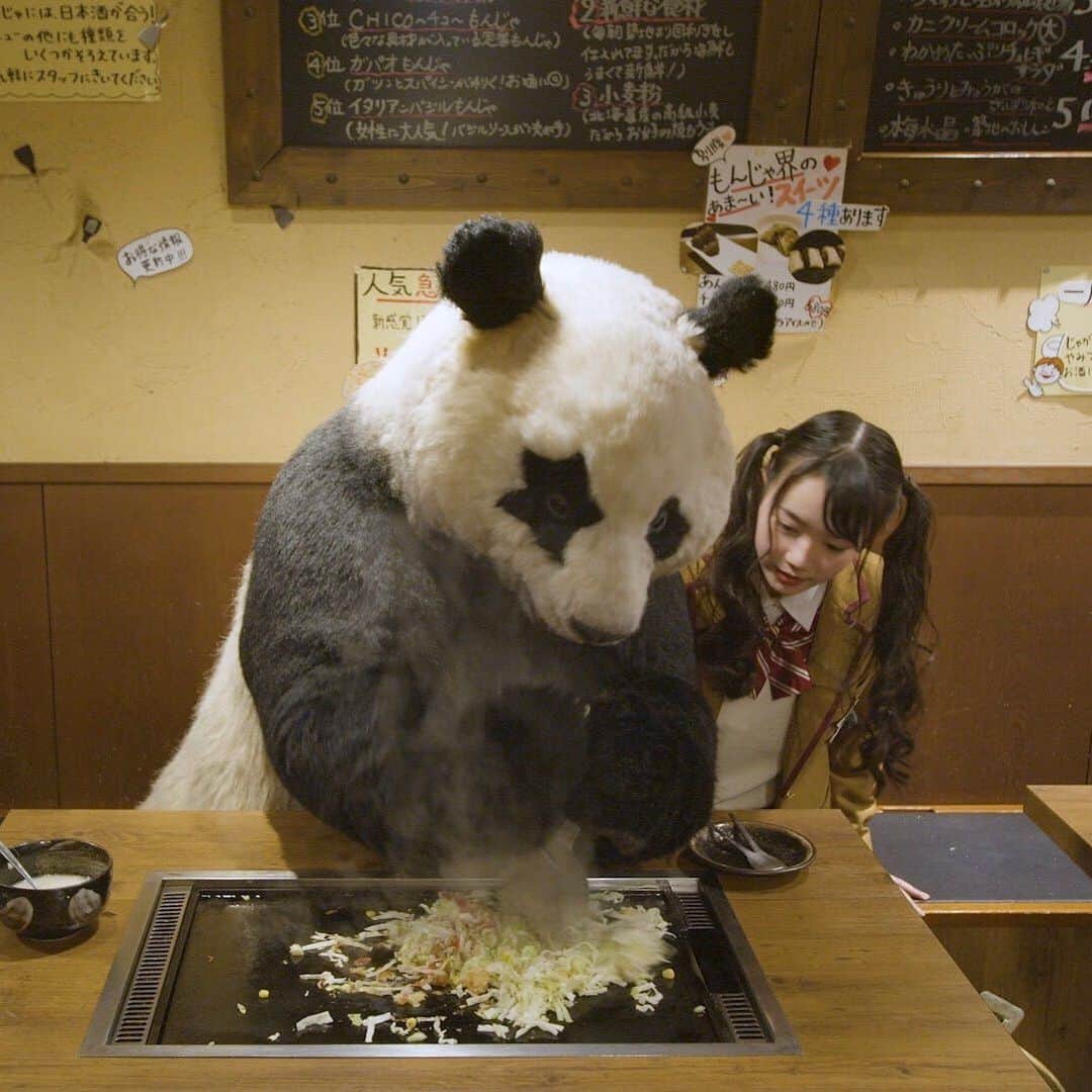 星星（セイセイ）さんのインスタグラム写真 - (星星（セイセイ）Instagram)「👍 . #もんじゃ焼き名パンダ . きょうの #ベラベラENGLISH 復習テストの答えは…💯 🌟It’s a piece of cake! 🌟簡単だよ！ . #星星 #パンダ #panda #pandagram #パンダ好きな人と繋がりたい #レイア #相方 #ZIP!」5月7日 14時17分 - seisei_panda