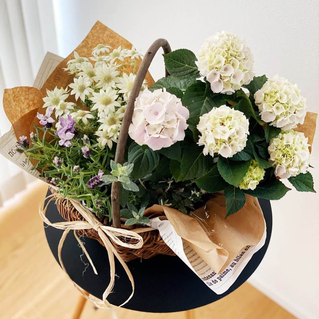 minminmaaaさんのインスタグラム写真 - (minminmaaaInstagram)「・ ・ mother's day💐 ・ ・ 息子とパパから少し早いけど、 お花をもらいました☺️💓 ・ ・ 「ママの好きなあじさいが入ったやつ」👦🏻🌸 うれしいな✨ ・ ・ ・ #母の日#花のある暮らし #あじさい#紫陽花#フランネルフラワー」5月7日 13時01分 - minminmaaa