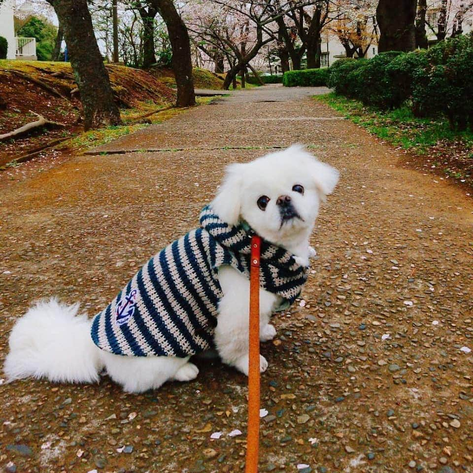 安田義孝のインスタグラム