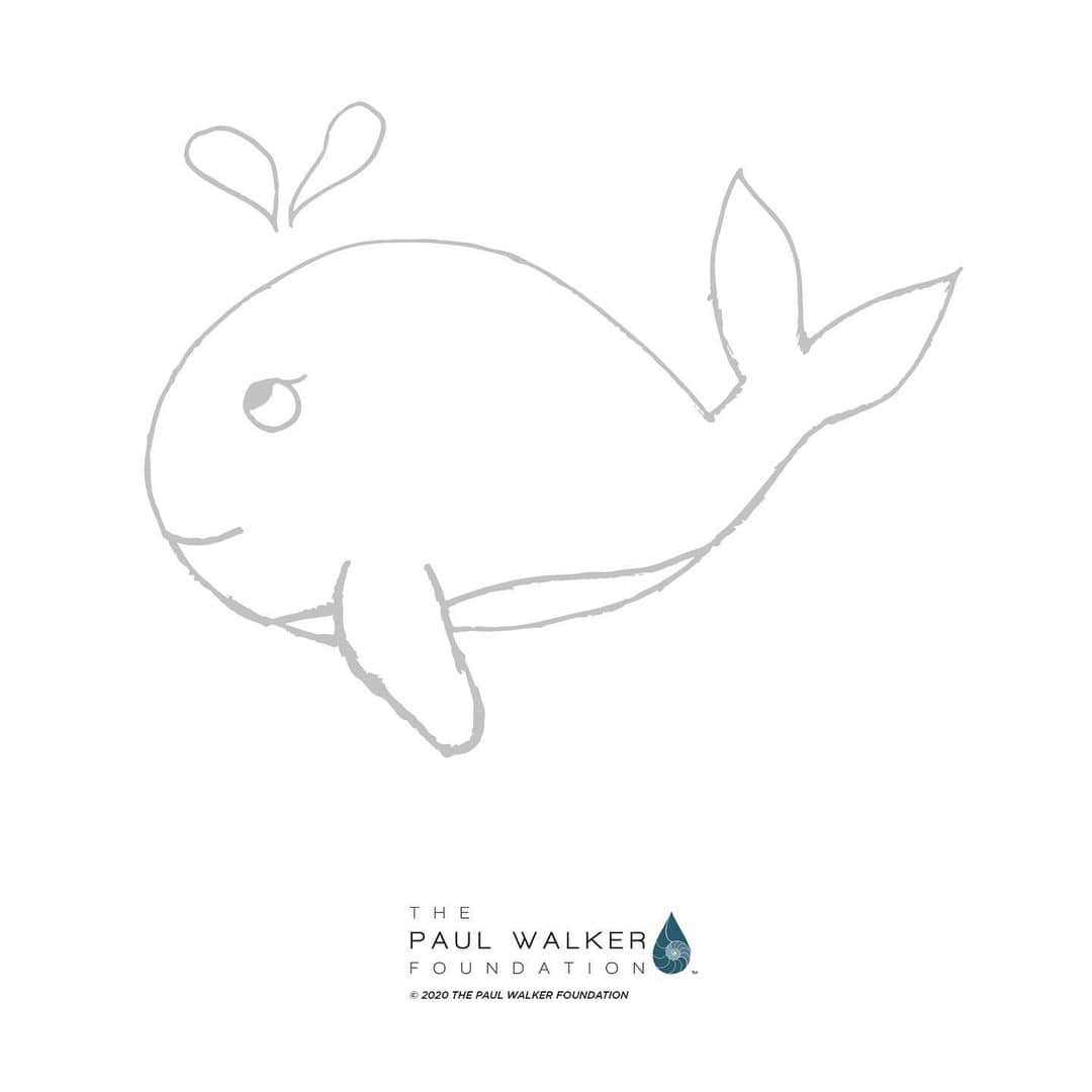 ポール・ウォーカーのインスタグラム：「Meet “Willow the Whale” the newest addition to our ocean creatures team sketched by @meadowwalker @paulwalkerfdn」