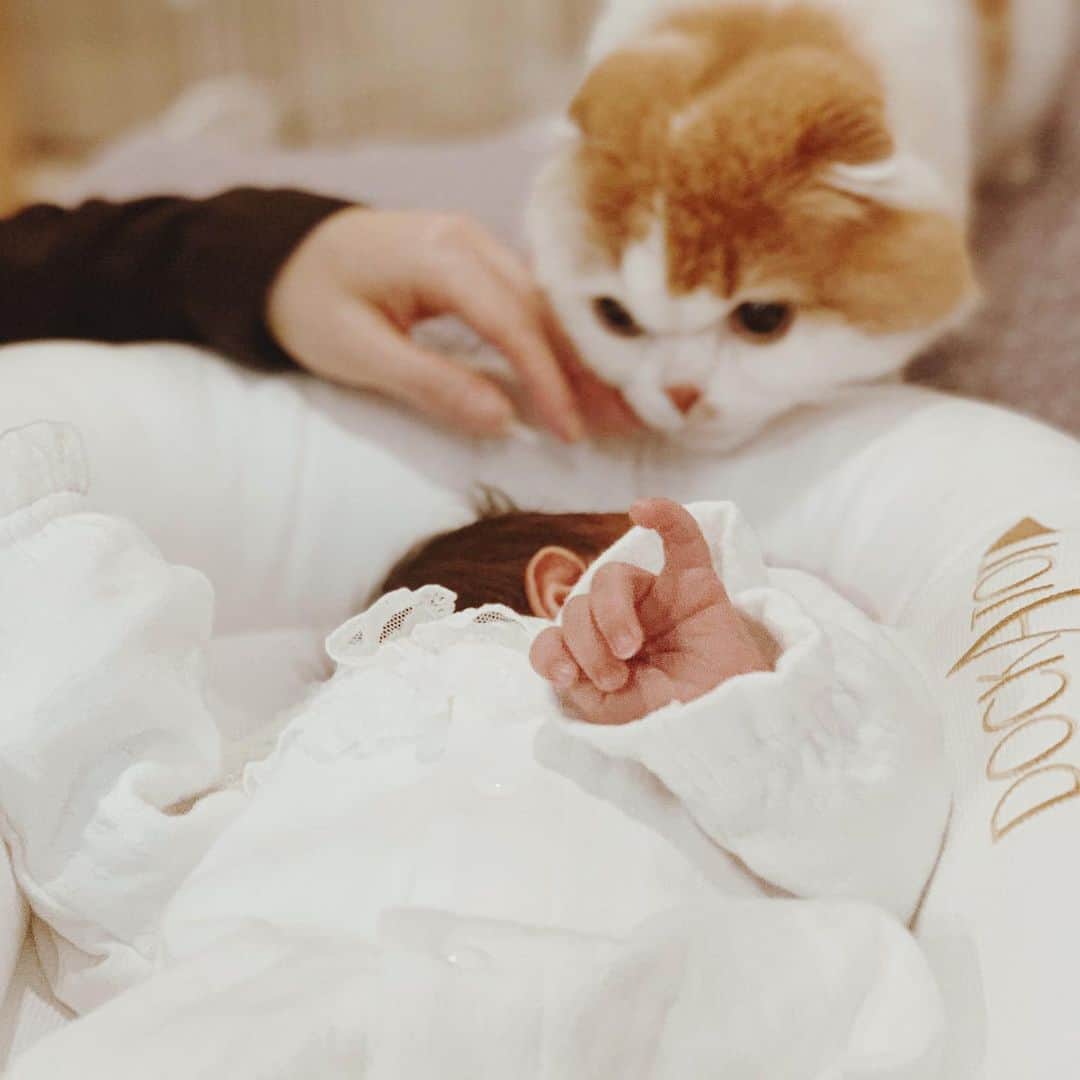 gammy08のインスタグラム：「先日ストーリーにもあげましたが4月19日に女の子を出産しました👶🏻. . . 寝られない日もありますが、死ぬほど可愛いです。笑  我が子の猫アレルギーが心配でしたが今のところつくもと一緒にいても大丈夫そうです♪  つくもは、興味はあるけど怖いようであまり近づいてきません😅 ギャン泣きな声にびびっております。。. . あと主役を奪われてしまった感じでなんだか寂しそう…。 まだ仲良くなるには時間がかかるかな！」