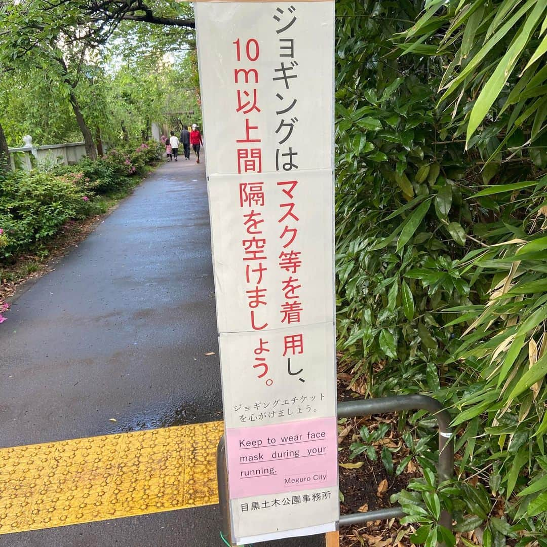 田村亮さんのインスタグラム写真 - (田村亮Instagram)「人が少ない時間帯の早朝は気持ち良く犬ランできますなぁ〜 #ランニング #犬の散歩」5月7日 8時28分 - ryo_tamura7