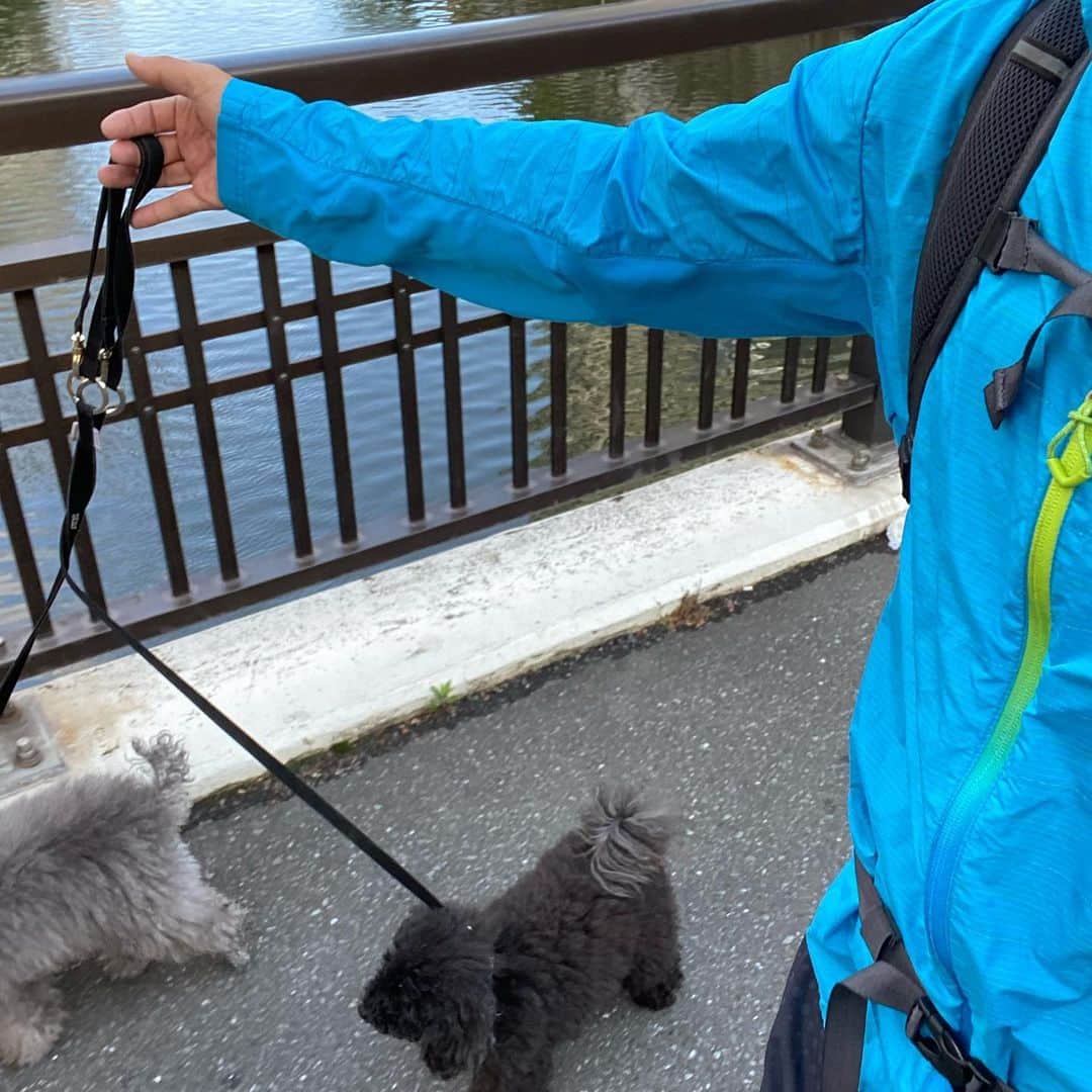 田村亮さんのインスタグラム写真 - (田村亮Instagram)「人が少ない時間帯の早朝は気持ち良く犬ランできますなぁ〜 #ランニング #犬の散歩」5月7日 8時28分 - ryo_tamura7