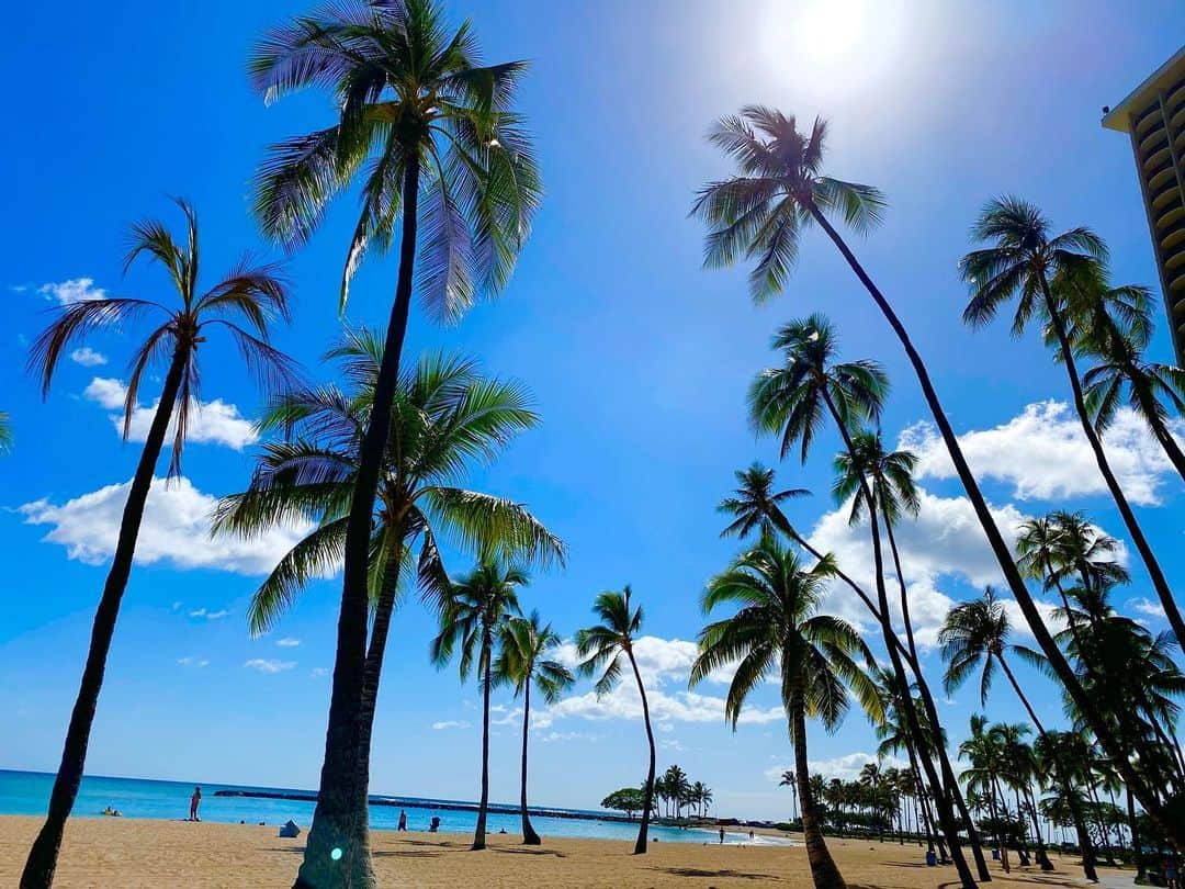 ワイキキ横丁のインスタグラム：「夏本番に向けてどんどん晴れの日が多くなってきたハワイ☀️ホノルルでは来週末から一部事業やショッピングモールが再開されるそうです。今日も元気で一日お過ごしください、アロハ！ #ハワイ #ハワイ生活 #ハワイ情報」