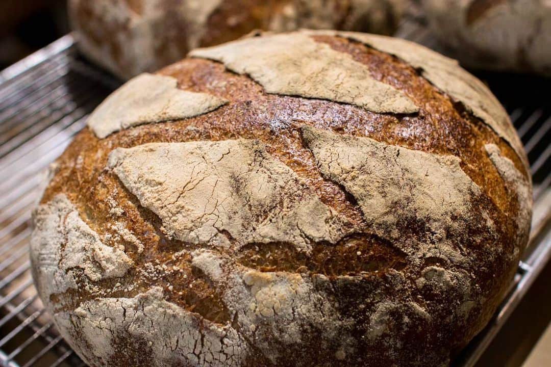 笹塚駅のパン屋さん オパンのグルメインスタ