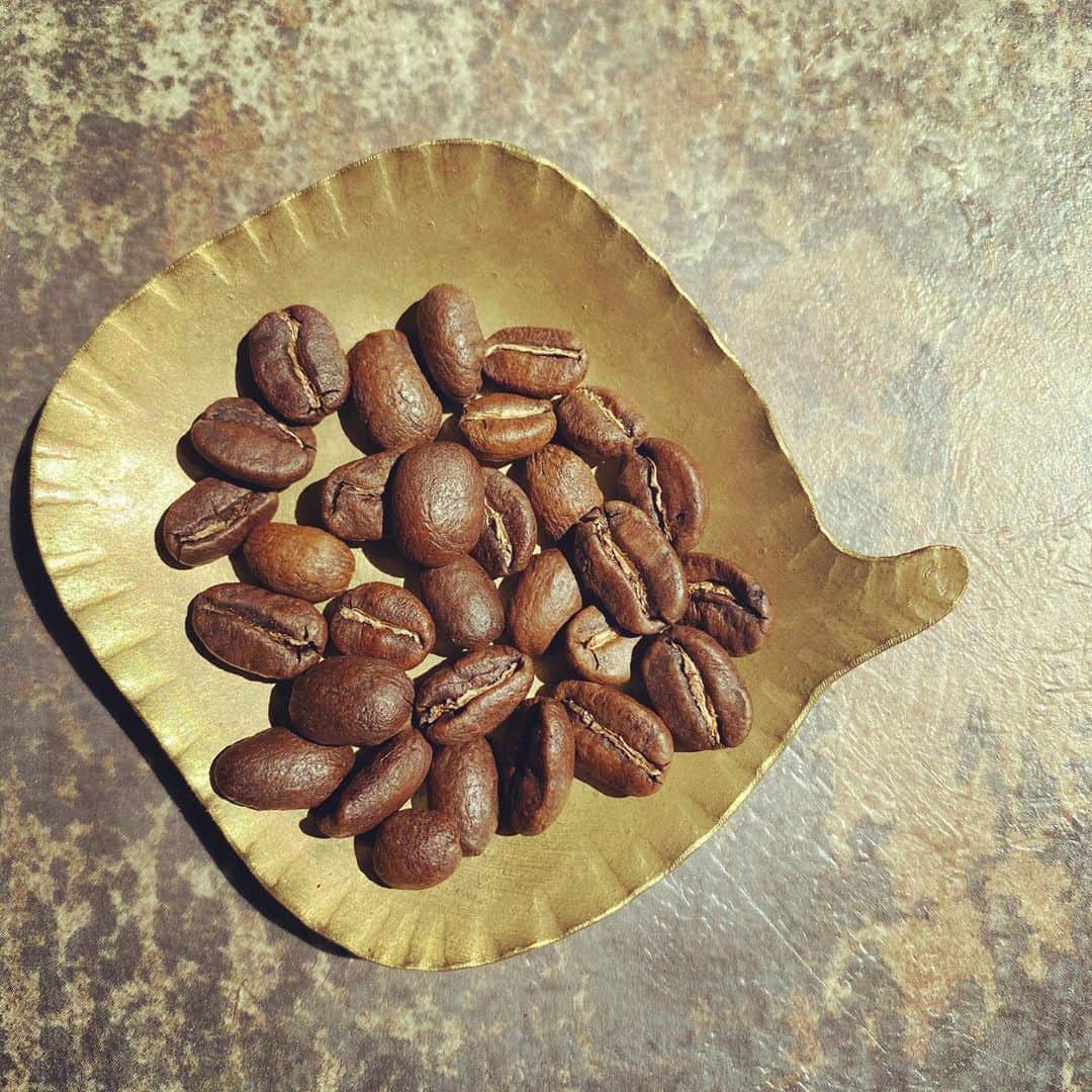 坂口憲二（THE RISING SUN COFFEE）さんのインスタグラム写真 - (坂口憲二（THE RISING SUN COFFEE）Instagram)「◆GOOD MORNING COFFEE‼︎◆ .  AUTHENTIC BLEND .  TRSCの中でも1番バランスが取れている中浅煎りブレンドになります。 .  #coffee #coffeebeans  #coffeeroaster  #coffeelab  #coffeeandsurfing  #coffeetime  #coffeelover  #coffeebreak  #coffeeshop  #coffeestand  #coffeeholic  #coffeehouse  #coffee_inst  #coffeemaker  #coffeeshops  #coffeecoffeecoffee  #coffeenclothes  #coffeeaddict  #coffeeculture  #coffeemorning  #coffeemag #specialitycoffee  #authentic #blend #TRSC」5月7日 9時28分 - therisingsuncoffee