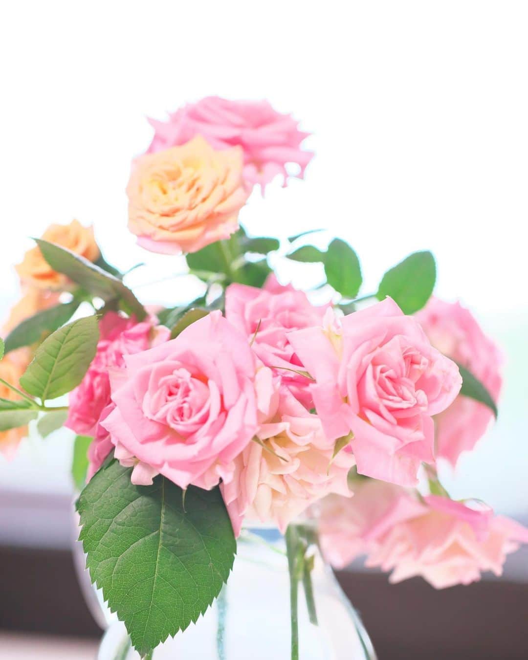 kiccyomuのインスタグラム：「☀️ 2020.05.07 Thu うちの #バラ 切り花にして、出窓に😊 赤いバラ🌹たちは、撮り忘れて… すでに、ドライフラワー化している😅 #心に花を * Stay home 🏡 #一日も早く平穏な日が訪れますように 🙏 今日も元気に🤗 * location #千葉 📷撮影 5月5日」