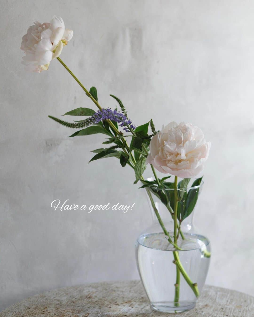 のインスタグラム：「おはようございます。﻿ ﻿ 本日のお花便は、いまが旬のシャクヤク。﻿ ﻿ わんさか買えたらね、まあ、それに越したことはありませんが、現実的には1、２本？﻿ ﻿ その1、２本でも、素敵にいけて楽しむことができるんです。まず、今日の投稿、3枚を見てくださいね。﻿ ﻿ ❶２本なら、長さを思い切り変えて、シャクヤクのみずみずしい茎も見どころにする。﻿ ﻿ その際、長く伸ばすシャクヤクは斜めに挿すことで、やさしげな印象になります。﻿ ﻿ そして、茎に沿って、しなやかな草花を１本,。まーっすぐな茎のラインがほどよく、やわらぐんです。﻿←ここがミソ！ ﻿ ❷１本ならば、葉を茎のつけ根から折り取り、添えてあげるだけ。手で簡単に取れますよ。﻿ ﻿ 簡単でしょ？ ﻿ ﻿ シャクヤクは、シンプルにいけても…いや、率先してそうしたいお花かもしれませんねー。﻿ ﻿ 連休が終わり、久しぶりの活動再開の日。お帰りの際には、お花屋さんを覗いてみませんか？﻿ ﻿ では、本日も元気smile😊😊😊で頑張りましょう！  by ピーターパン﻿ ﻿ 花 @blossom_shima  写真 @落合里美  #flowers #flowerslovers #flowerstagram #flowerarrangement  #花時間 #花時間2020 #花好き #花藝 #花好きな人と繋がりたい #花が好きな人と繋がりたい #花のある生活 #花のある暮らし #花を飾る #花を飾る生活  #シャクヤクの花  #シャクヤクの季節 #peony  #初夏の花 #花を飾る暮らし  #しゃくやくの花 #botanicallife  #ビタミンf #おうち時間  #エンジョイステイホーム  #エンジョイホーム #花屋さんへ行こう」