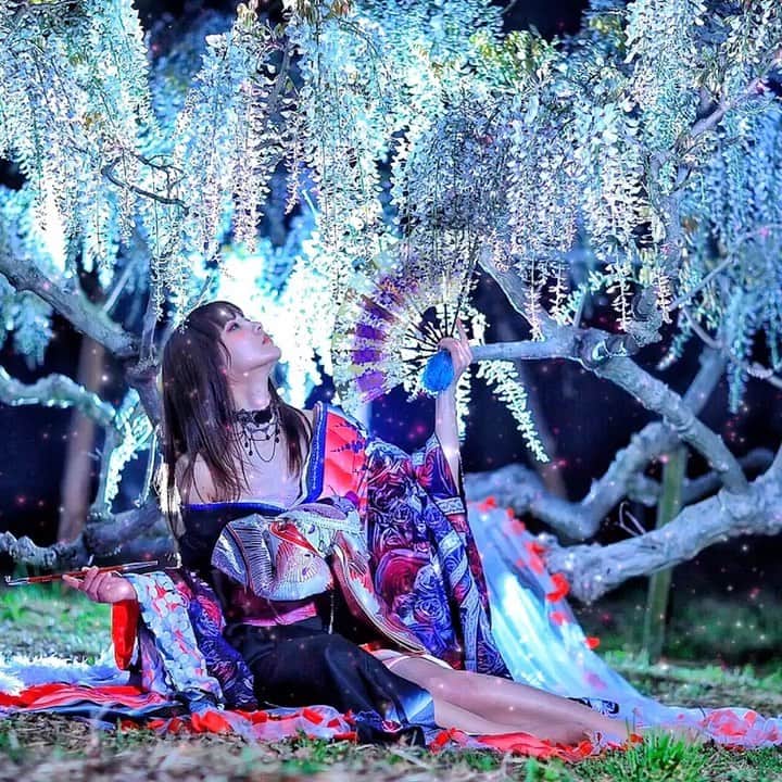 舘林佳史のインスタグラム：「藤の花✨花魁ファンタジーフォト✨﻿ ﻿ ﻿ model:長谷川杏奈 @ahha.lw0x0wl ﻿ 誰でも物語の主人公になれるをキャッチコピーに﻿ ドラマや映画の物語のワンシーンの様なDramaticStoryPhot﻿ と言う名前で活動作品作りをしています。﻿ ﻿ 大好評のドラマティックフォトのご依頼は﻿ このクオリティーで30000円〜(ほぼ諸経費)﻿ で受け賜わっています)^o^( ﻿ 素敵な作品を一緒に作りたい！﻿ コラボレーションしたい 美容師・メイクアップアーティストさん ・服飾デザイナーさんクリエイターさんも随時募集中です✨﻿ ﻿ お姫様になりたい👸﻿ 物語の主人公になってみませんか^ ^⁉︎﻿ ﻿ たった一枚の写真で人生が変わる‼️﻿ ﻿ ✨作品作り体験モデルに興味がある方 ﻿ ドラマティックフォト依頼 撮影依頼 ﻿ 体験モデル募集﻿ ①お名前②地域③年齢④身長⑤LINE ID⑥応募理由やお問い合わせ内容⑦最近の髪型スタイルの分かる写真をDMまたはLINE ID510661下さい✨﻿ 📩﻿ モデル宣材撮影 コンポジ Book作り プロフィール撮影 ブライダルフォト記念撮影 衣装レンタル 成人式 着物 ドレスロケーションフォト スチール サロンモデル撮影 写真集等撮影のご依頼何でもお気軽にお問い合わせDM下さい✨📩 ﻿ ﻿ #花魁 #藤の花 #映画のワンシーン﻿ #インスタ映えスポット﻿ #ファンタジー﻿ #ドラマチック﻿ #観光スポット #フリーモデル#ドラマティックストーリーフォト#インスタ映え#作品作り #撮影依頼#講習会#シューティング#撮影依頼募集中 #ファインダー越しの私の世界 #写真を撮るのが好きな人と繋がりたい  #ストロビスト#ポートレート#ポートレートモデル#モデル募集#被写体#ロケーションフォト#カメラマン#フォトグラファー##excellent_portraits #photographer#ig_bless_women﻿ #東京カメラ」