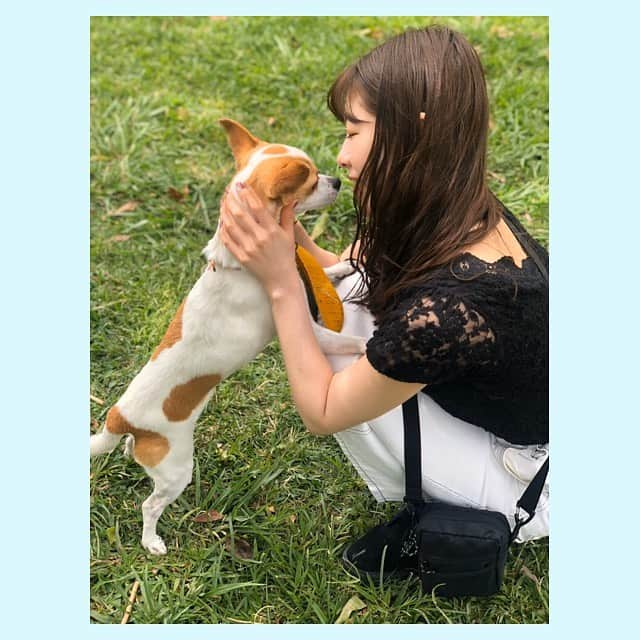 中西香菜さんのインスタグラム写真 - (中西香菜Instagram)「﻿ ﻿ 映画﻿ 🐶僕のワンダフルライフ🐶﻿ ﻿ ﻿ もう1度大好きな飼い主と会うために何度も生まれ変わる犬のお話！﻿ ﻿ ﻿ なんて素敵なお話なんだ😭﻿ ﻿ ﻿ 大大大大号泣しました😭﻿ ﻿ ﻿ 犬目線で描かれているので、﻿ 心も体も犬の気持ちになれた気が🐕﻿ ﻿ ﻿ 出会いのお話でもあるので、﻿ 出会いって不思議だなぁと改めて感じました☺️﻿ ﻿ この投稿見てくれてる方も出会ってくれてありがとう〜！☺️﻿ ﻿ ﻿ 昨日ね、﻿ 小学生の時から飼っていた実家の愛犬ショコラが旅立ったのですが、﻿ ﻿ ﻿ 家族みんなこの作品を観ていて、﻿ また会えるね😊ってポジティブに！！！！﻿ ﻿ ﻿ 幸せと癒しをありがとう🐶💕﻿ また会おうね〜🌼﻿ ﻿ ﻿ ﻿ ※写真は卒業旅行で元会社の方にハワイに連れて行って頂いたときに出会ったわんちゃん🏄‍♂️✨﻿ ﻿ ﻿ ﻿ 今までの写真どんどん載せていきますね！﻿ ﻿ ﻿ ﻿ #僕のワンダフルライフ﻿ #僕のワンダフルジャーニー﻿ #犬﻿ #映画﻿ #おすすめ映画 #泣ける映画﻿ #映画好きの人と繋がりたい﻿ #中西香菜」5月7日 10時41分 - nakanishi_kana_