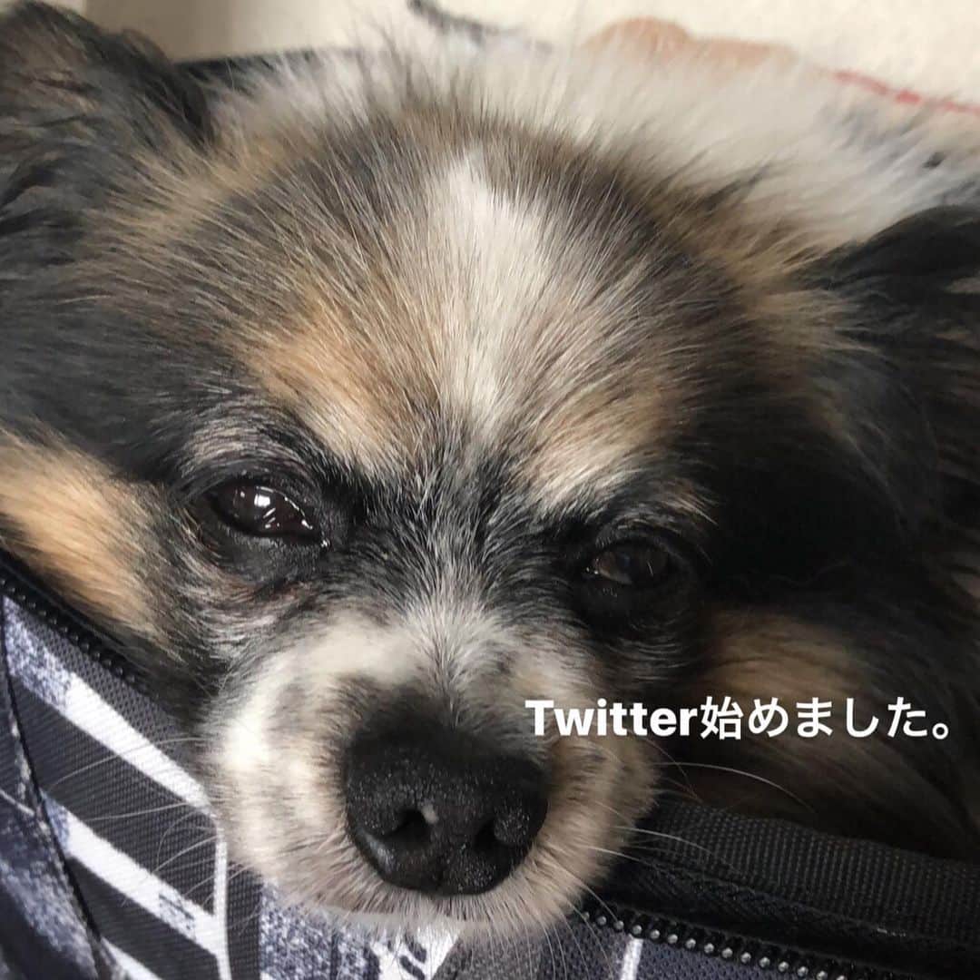 高木美帆のインスタグラム