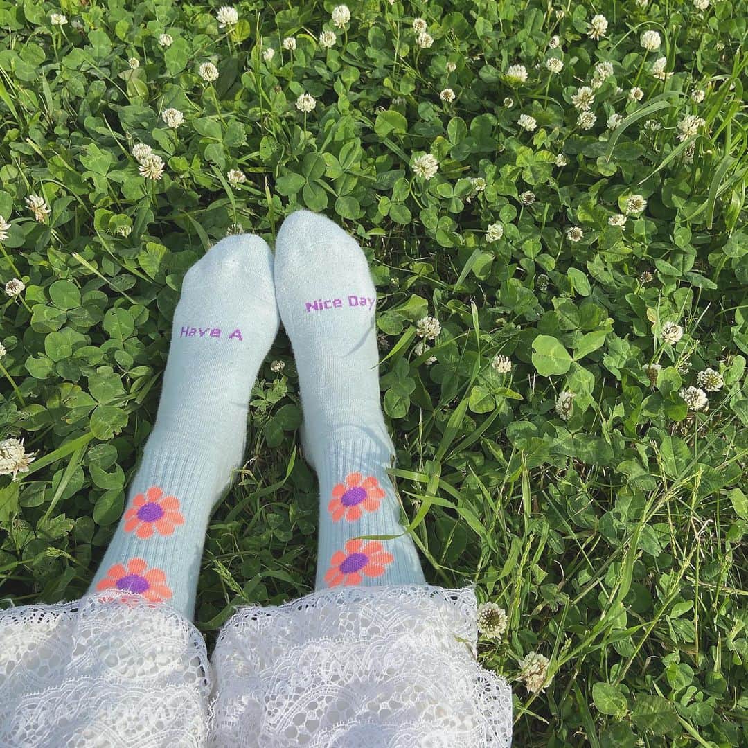 のインスタグラム：「Have a nice day🌼 ㅤㅤㅤㅤㅤㅤㅤㅤㅤㅤ  ㅤㅤㅤㅤㅤㅤㅤㅤㅤㅤ ㅤㅤㅤㅤㅤㅤㅤㅤㅤㅤ ㅤㅤㅤㅤㅤㅤㅤㅤㅤㅤ #mylegstyle #sockslovergirl #socks #legstyle #rostersox  #靴下 #ソックス　#あしもとコーデ #あしもと倶楽部」