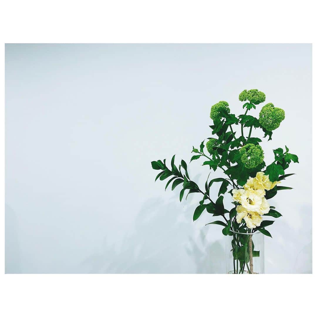 大塚愛さんのインスタグラム写真 - (大塚愛Instagram)「家にみどりを。  AIO　#stayhome  #flowers  #green  #好きなもなの　#趣味」5月7日 11時25分 - aiotsuka_official