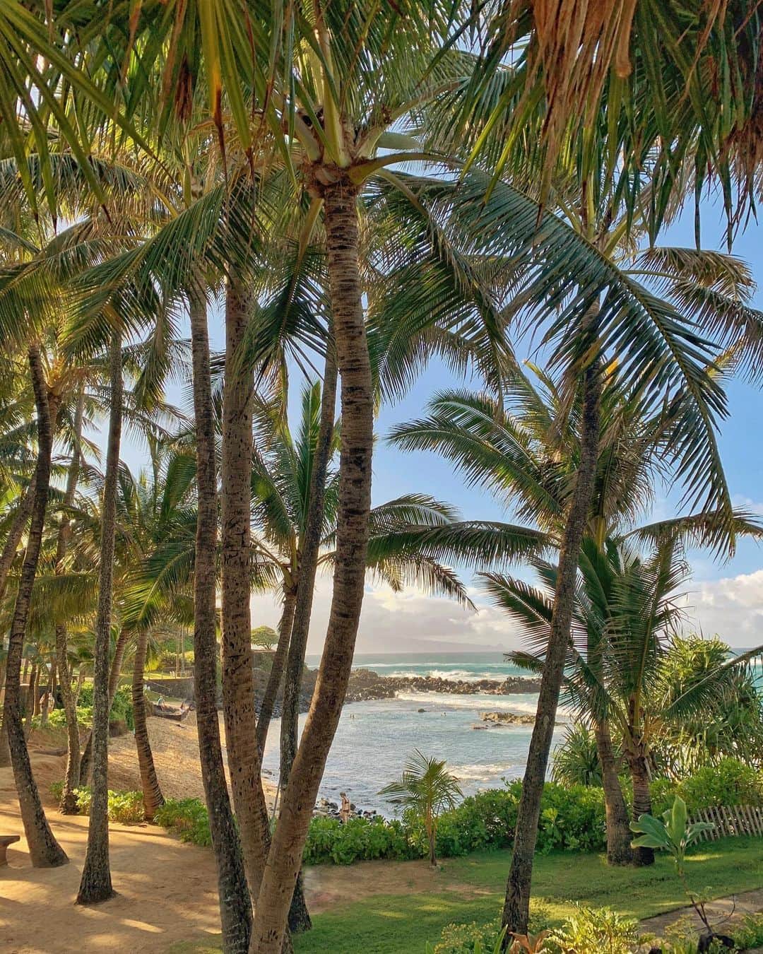 ギャランス・ドレのインスタグラム：「I was asked to share my most memorable trip and I have to say this last-minute, post break-up escape to Maui a little over a year ago was a life changing one. .  I was completely alone, sad and jet-lagged (Ahah! very French romance!). The house I was staying at came with an old Prius with which I drove myself around, took myself on adventures and visited the island. . I didn’t do much else.  It ended up being a giant reset. And it became an anchor point in my life, a moment in time I can get back to whenever I feel a bit lost. My friend @alohanif would probably say the island took care of me 🌴 . #tripschangeus @rimowa .  Thinking of you @mistersperduti and Tom.」