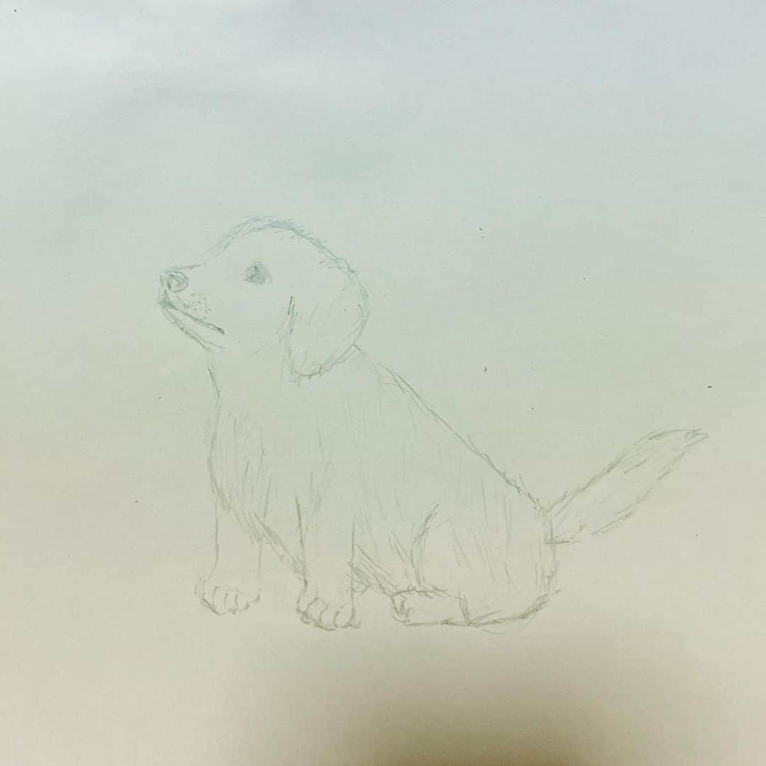 村川翔一さんのインスタグラム写真 - (村川翔一Instagram)「描いてみた！まとめ  猫にみかん。 スカイツリーを見つめるハムスター？ スティッチとイーヨー。 気怠げな自画像。 サッカーボールに驚くパンダ。 "待て"を出来る子犬。 濃くなってしまった萩尾圭志。笑 #描いてみた #猫 #みかん #スカイツリー #ハムスター #スティッチ #イーヨー #自画像  #サッカーボール #パンダ #子犬  #萩尾圭志」5月7日 22時46分 - shoichi.m.official