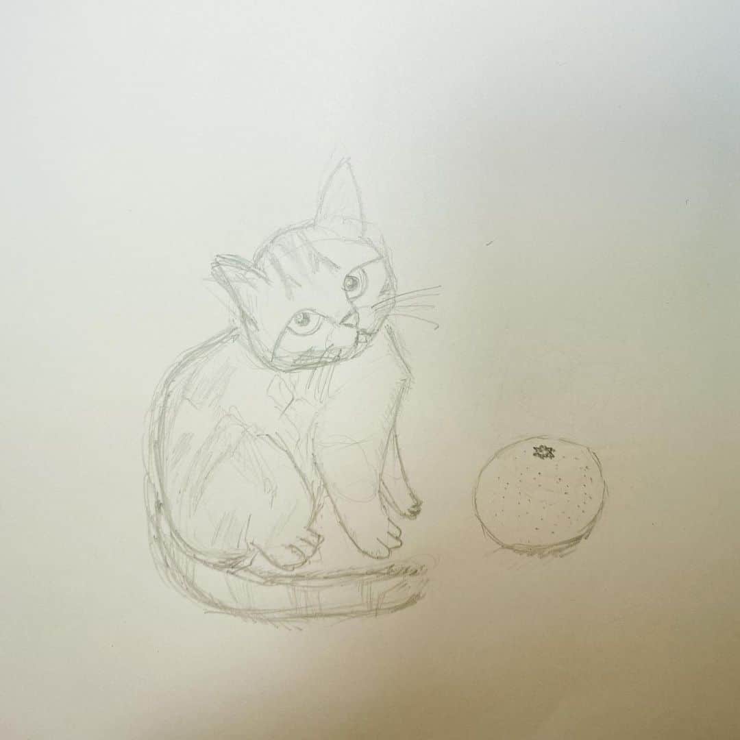 村川翔一さんのインスタグラム写真 - (村川翔一Instagram)「描いてみた！まとめ  猫にみかん。 スカイツリーを見つめるハムスター？ スティッチとイーヨー。 気怠げな自画像。 サッカーボールに驚くパンダ。 "待て"を出来る子犬。 濃くなってしまった萩尾圭志。笑 #描いてみた #猫 #みかん #スカイツリー #ハムスター #スティッチ #イーヨー #自画像  #サッカーボール #パンダ #子犬  #萩尾圭志」5月7日 22時46分 - shoichi.m.official