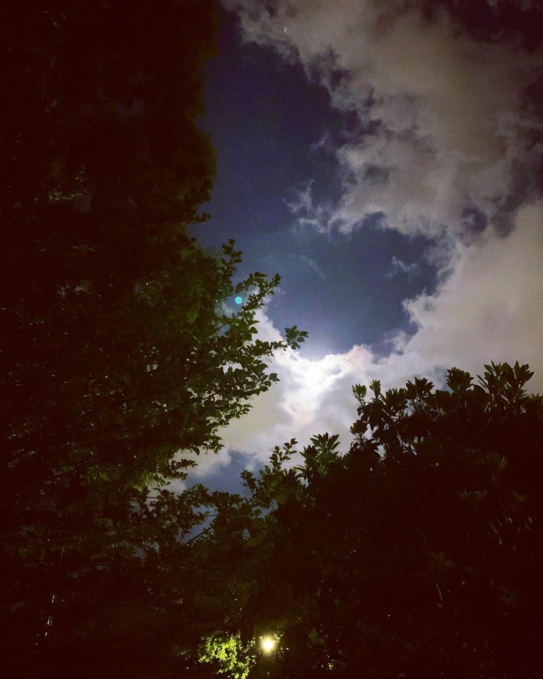 のインスタグラム：「・ ・ 月明かり　5月のfull moon🌝の月光浴 昨晩の嵐により空気が澄んでいたのか 美しい月を仰げた  今宵のBGMはFly me to the moon  今日も生かされてることに感謝をして🙏🏻 ・ ・ #life #fullmoon #月光浴 #stayhomestaysafe」