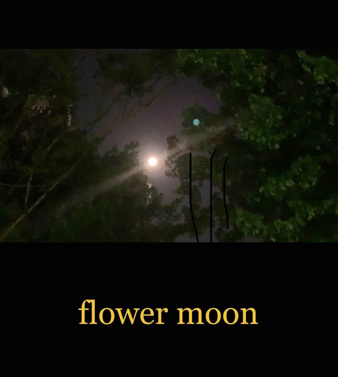 マサ小浜さんのインスタグラム写真 - (マサ小浜Instagram)「flower moon」5月7日 22時54分 - masakohama1