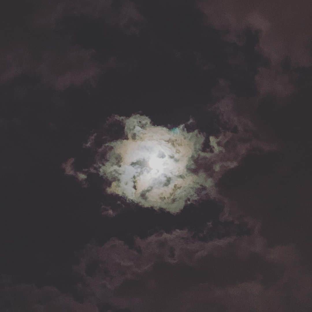 高橋克典さんのインスタグラム写真 - (高橋克典Instagram)「Flower Moon♪  空見上げたらホントに花みたいな瞬間。」5月7日 23時22分 - katsunoritakahashiofficial