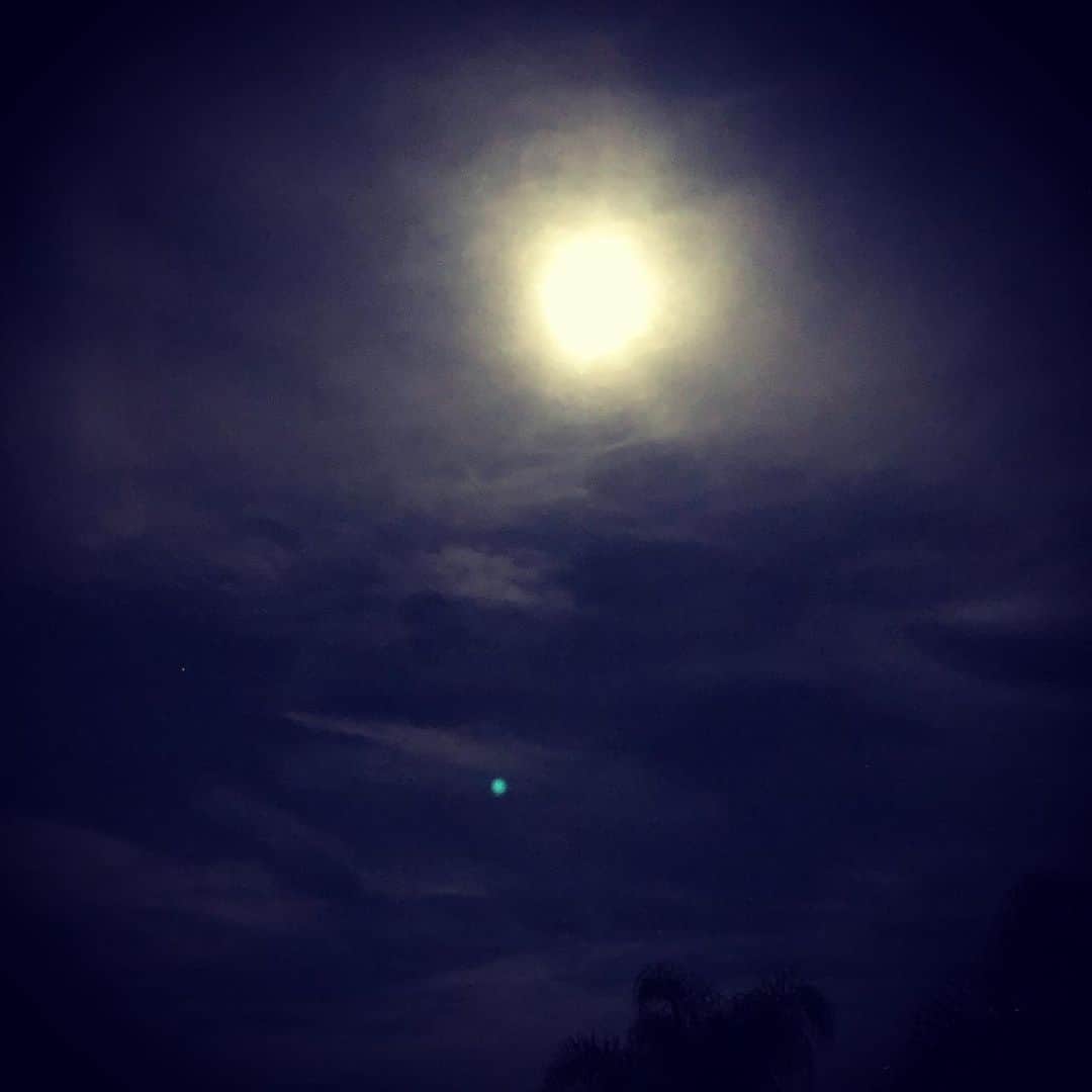 メアリー・マクドネルのインスタグラム：「Dear Flower Moon  Please give us strength , resilience and the restoration of justice #ahmaudarbery #justiceforahmaud #love」