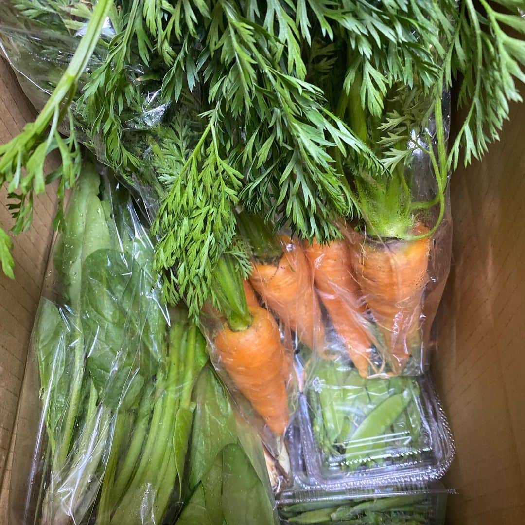 渡辺真起子さんのインスタグラム写真 - (渡辺真起子Instagram)「無農薬野菜。 綺麗な緑が届きました。 ありがたや。」5月7日 17時11分 - watanabe_makiko
