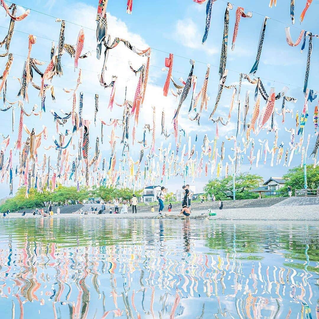 楽天トラベル さんのインスタグラム写真 - (楽天トラベル Instagram)「こんにちは😊 #おうちで旅体験 5月5日の子どもの日にたくさんの鯉のぼりの写真を投稿いただいたのでご紹介します🎏 色とりどりの鯉のぼりが泳ぐ姿が来年は見られますように🙏🏻✨ . . ーーーーーーーーーーーーーー ①📍東京タワー（東京都） 📸Photo by @tsutsuuraura_jpn  ②📍芥川桜堤公園（大阪府） 📸Photo by @honeybee_jam  ③📍浅野川 鯉流し（石川県） 📸Photo by @hakuchoro_hotelsanraku  ④📍くりはま花の国（神奈川県） 📸Photo by @yuki_pht124  ⑤📍鶴生田川（群馬県） 📸Photo by @mi_zumii  ーーーーーーーーーーーーーー 旅先で出会った美しい風景や絶品グルメなどの写真や動画を #おうちで旅体験 と #rakutentravel を付けてぜひシェアしてください😊 このアカウントでご紹介させていただきます💗 ーーーーーーーーーーーーーー . . #楽天トラベル #旅行好きな人と繋がりたい #旅したくなるフォト #旅行 #国内旅行 #おうち旅行 #おうちで旅行気分 #エア旅 #TravelFromHome #おうち時間 #travel #trip #写真で旅をしよう #鯉のぼり #こどもの日 #日本の風景 #日本の景色 #japan」5月7日 18時18分 - rakutentravel