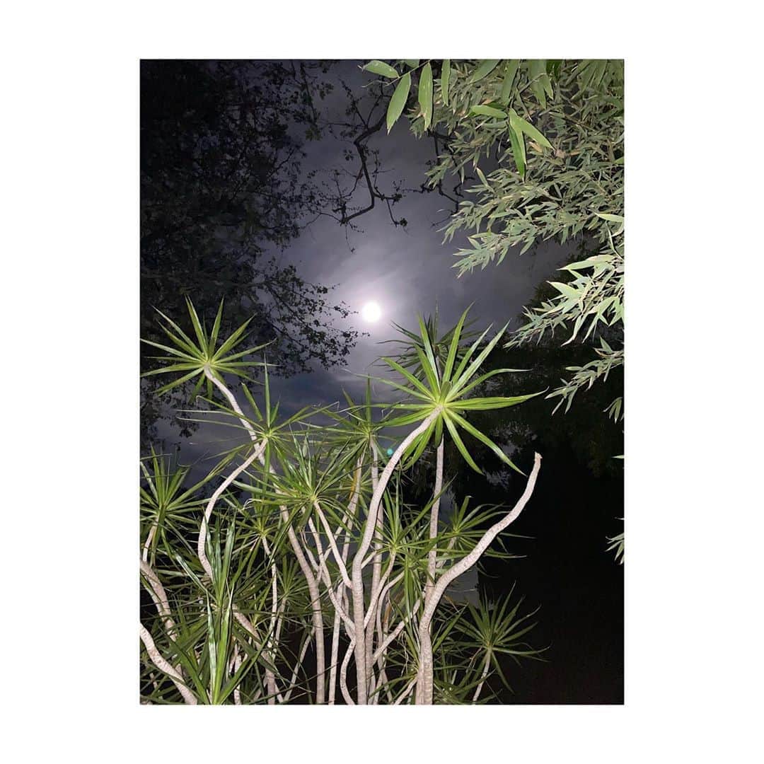 ジェシー・カーマイケルのインスタグラム：「Super Moons and Green Orbs. Which photo do you like better... flash or no flash?」