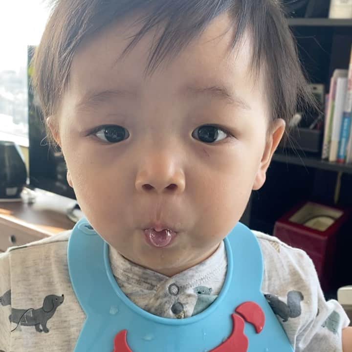 伊藤良夏のインスタグラム：「顔変形するまで口に食べ物いれる。🐿 #11ヶ月ベビー」