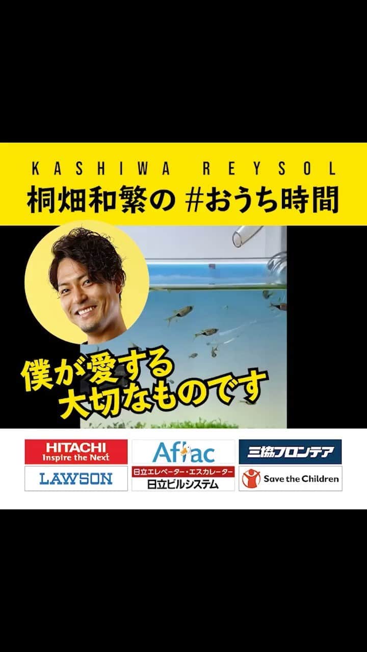 柏レイソルのインスタグラム