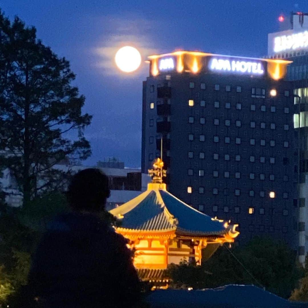 まる（まるたろう）さんのインスタグラム写真 - (まる（まるたろう）Instagram)「The Full Moon in May is known as the Flower Moon.✨🐶🌝✨今日はまーるいお月様が出てるね〜 #フラワームーンって言うんだって #柴犬色だね🌝 #デケェ #flowermoon」5月7日 20時06分 - marutaro