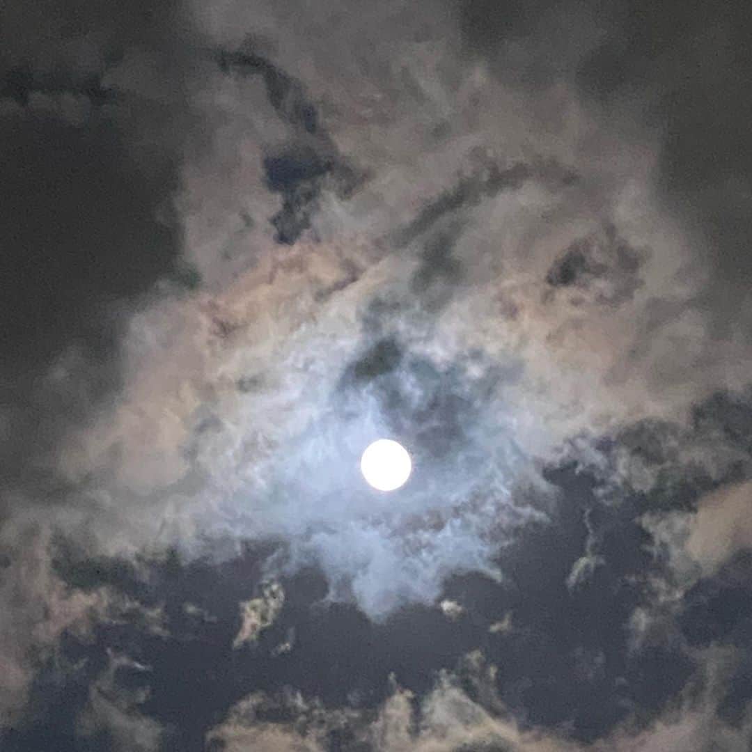 神尾葉子さんのインスタグラム写真 - (神尾葉子Instagram)「いま、家から見た満月。 フラワームーンだそうです。  #月に祈りを #みんな元気でいて」5月7日 21時06分 - yoko.kamio