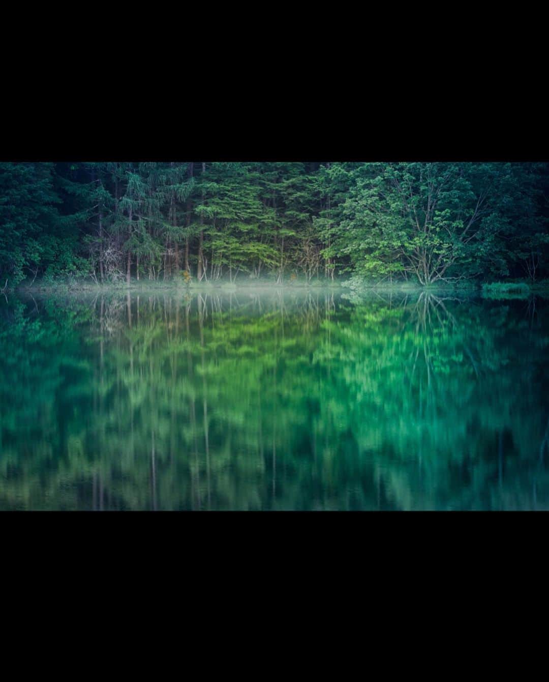 kyoko_zzzさんのインスタグラム写真 - (kyoko_zzzInstagram)「Mysterious green  #御射鹿池 #reflectionphotography #tv_foggy」5月7日 21時06分 - kyoko_zzz