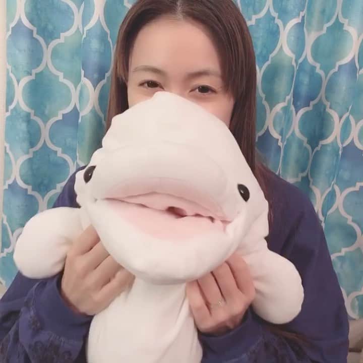 のインスタグラム：「♡ プルルに会いたいなー🐬 ・ ・ 笑顔で行ける日まで 我慢我慢。 ・ 離れていても 大好き❤ ・ ・ ・  #1日1大好き #優美 #ゆうみ #me #昭和感 #大好き #ダイスキ #daisuki #love #❤️ #プルル #シーパラ」