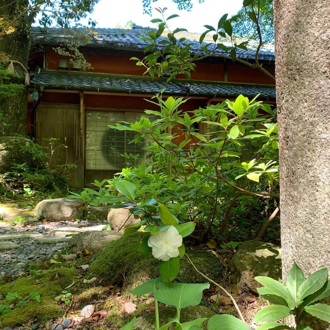 湯の山温泉 寿亭|Ryokan KOTOBUKITEIのインスタグラム