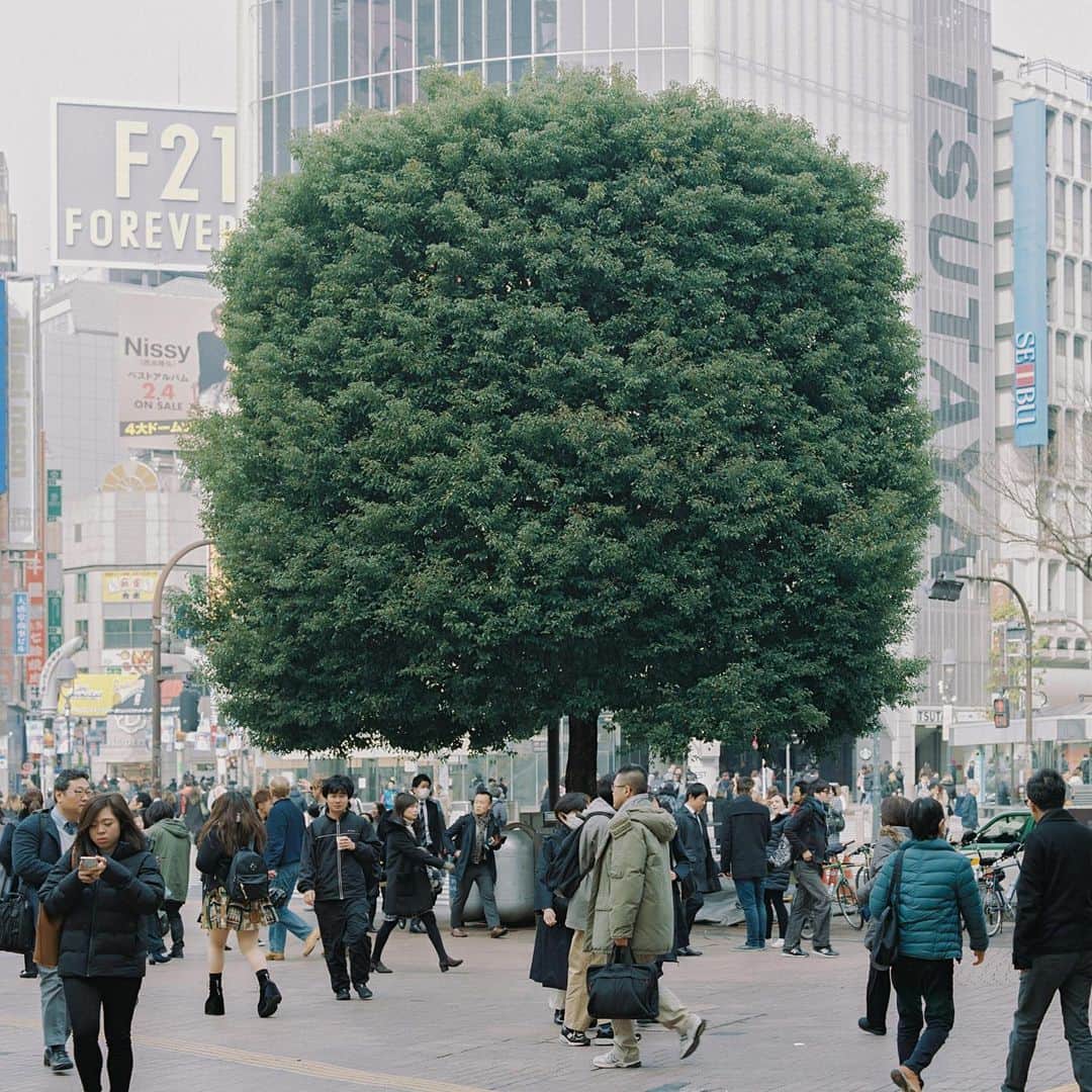 濱田英明さんのインスタグラム写真 - (濱田英明Instagram)「Japan, 2014-2019 #pentax67」5月8日 0時29分 - hamadahideaki