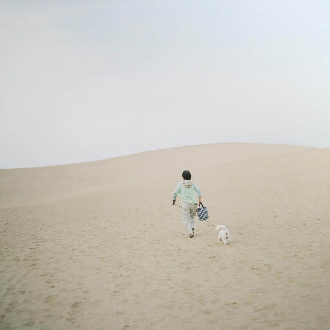 濱田英明のインスタグラム：「Japan, 2014-2019 #pentax67」