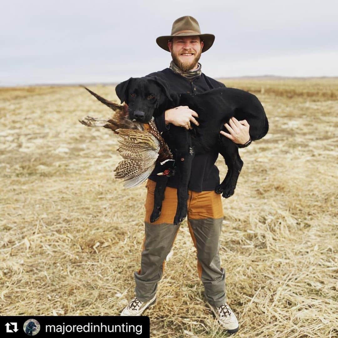 カーネルリトルトンさんのインスタグラム写真 - (カーネルリトルトンInstagram)「#Stellar hat @majoredinhunting thanks for sharing!🤠👊🏻🇺🇸 #Repost @majoredinhunting ・・・ Hunting dogs deserve all the credit. And Major is one of those dogs. He has such a passion and focus for the game. He loves hunting and fetching birds. He is doing what he is made to do —his purpose—and it’s a blast to watch. Be inspired by my best friend Major and seek out your passion and purpose life and have a blast doing it. -Brent R #tbt #fielddog #mansbestfriend #pheasanthunting #huntingdogsofinstagram #huntingdog #birddog #birddogoftheday #hunting #labradorretriever #labsofinstagram #blacklab」5月8日 1時17分 - colonellittleton