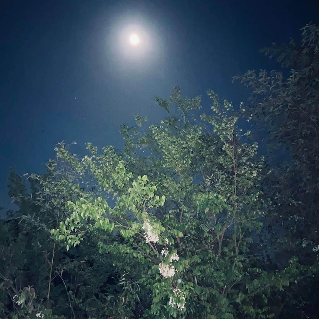工藤村正のインスタグラム：「晩春の白山ふじは美しく月満ちたりて何処ぞ憂うや」