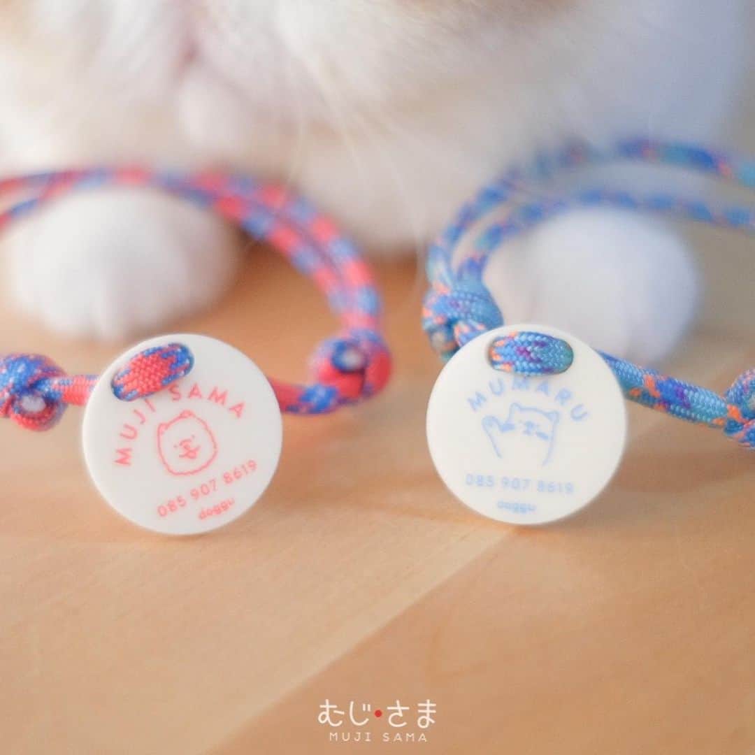 むじさまさんのインスタグラム写真 - (むじさまInstagram)「My new super cute tag 🏷 @doggupets #mujisama #doggupets」5月8日 1時15分 - mujisama