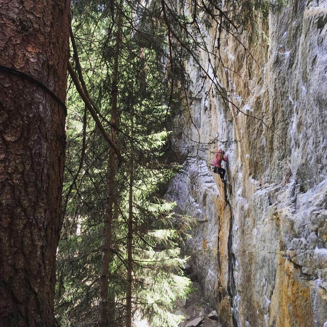 ユリア・フィシェルさんのインスタグラム写真 - (ユリア・フィシェルInstagram)「So... yesterday was a day I will probably remember for a very long time! I was able to climb my first 8c "Der schwarze Schwan" in Ötztal 🦢 Working on this beautiful line the last few weeks was such a cool process and I'm actually surprised on how fast it went down now! All in all it took me 4 sessions this year plus one session almost 2 years ago.  Special thanks to @johannadaum who went there with me just for belaying and who also took this picture (in a different route)❤️ #myfriendsarethebest Time to find some new projects now, I already have a few in my mind ☺️」5月8日 1時25分 - julia_fiser