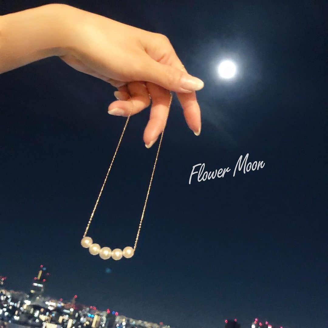 鈴木絢子さんのインスタグラム写真 - (鈴木絢子Instagram)「・ ・ 【stayhome天体観測】 今日はフラワームーン🌕✨ 確かに、大輪の花を思わせる大きな満月が！ ・ 満月と、満月みたいな大玉真珠の組み合わせ。 何だか底知れぬパワーが生まれてきそうです✊ ・ 今日は日本中でこのフラワームーンが見られたようで🌟 巣ごもりライフに一時の光を感じました😊✨ ・ ・ 👑#楽天1位 #ツノジュエリー ↓🦌✨ https://item.rakuten.co.jp/tsunotokyo/tsunorpn0001/ ・ ・ ・ #満月 #フラワームーン #ステイホーム #天体観測 #ジュエリーデザイナー #美容家 #美肌ジュエリー #運気アップ #ジュエリー #フリーランス #幸せを運ぶ鹿のツノ #大人ジュエリー #セクシージュエリー  #pearl #jewelry #tsunojewelry  #stayhome #💍 #🌕 #🌼」5月8日 2時23分 - ayako_suzuki810