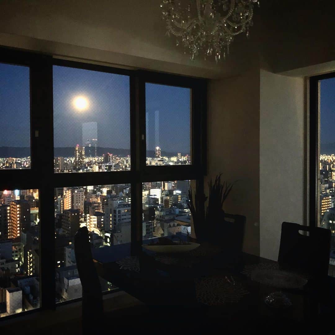 鈴木絢子さんのインスタグラム写真 - (鈴木絢子Instagram)「・ ・ 【stayhome天体観測】 今日はフラワームーン🌕✨ 確かに、大輪の花を思わせる大きな満月が！ ・ 満月と、満月みたいな大玉真珠の組み合わせ。 何だか底知れぬパワーが生まれてきそうです✊ ・ 今日は日本中でこのフラワームーンが見られたようで🌟 巣ごもりライフに一時の光を感じました😊✨ ・ ・ 👑#楽天1位 #ツノジュエリー ↓🦌✨ https://item.rakuten.co.jp/tsunotokyo/tsunorpn0001/ ・ ・ ・ #満月 #フラワームーン #ステイホーム #天体観測 #ジュエリーデザイナー #美容家 #美肌ジュエリー #運気アップ #ジュエリー #フリーランス #幸せを運ぶ鹿のツノ #大人ジュエリー #セクシージュエリー  #pearl #jewelry #tsunojewelry  #stayhome #💍 #🌕 #🌼」5月8日 2時23分 - ayako_suzuki810