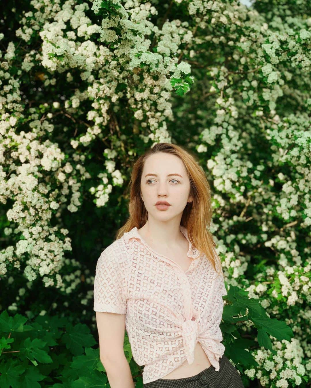 ベッキー・クルーエルのインスタグラム：「crimson and clover ☘️」